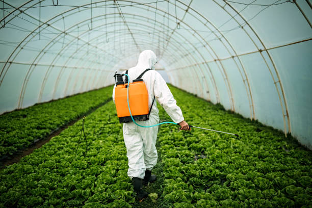 Best Residential Pest Control  in Martinez, GA