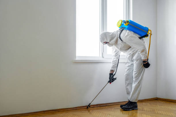 Best Pest Prevention Services  in Martinez, GA