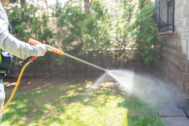 Best Rat Extermination Near Me  in Martinez, GA