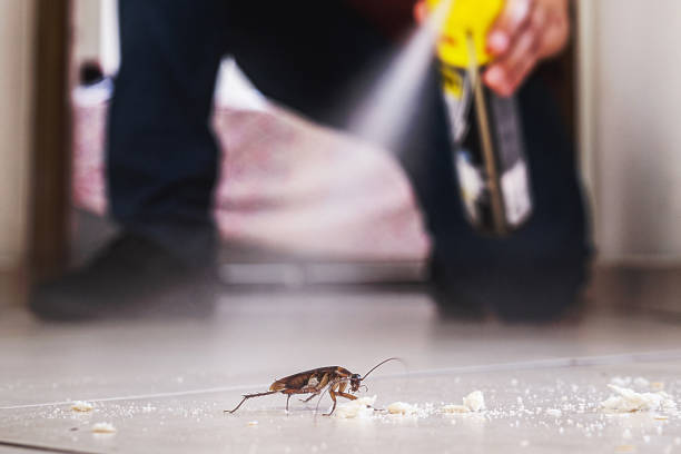 Best Termite Control Services  in Martinez, GA
