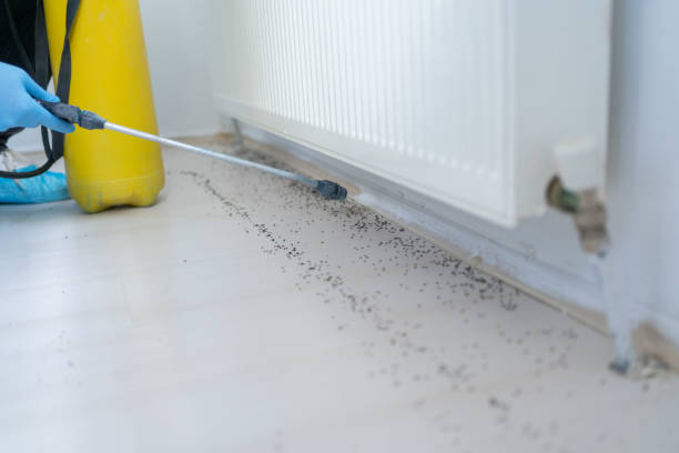 Best Pest Control Cost  in Martinez, GA